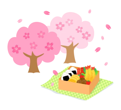 桜とお花見弁当のイラスト