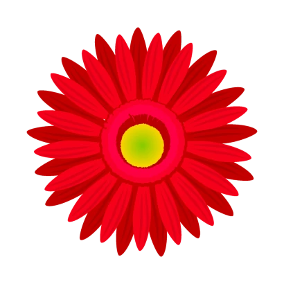赤色ガーベラの花