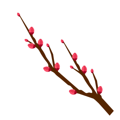 梅の花つぼみ