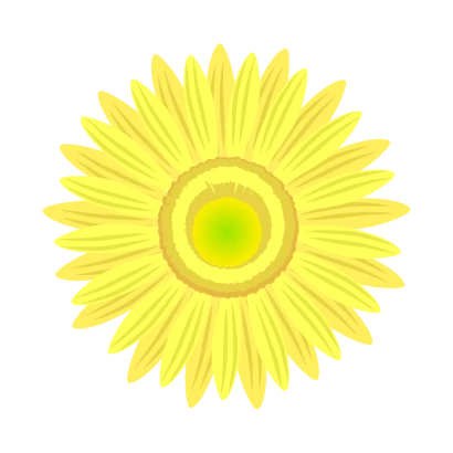 薄黄色ガーベラの花