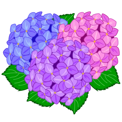 カラフルな紫陽花
