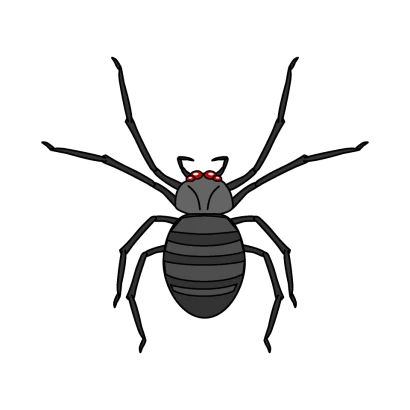 毒蜘蛛のイラスト