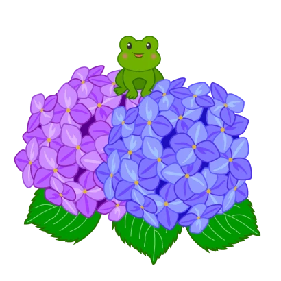 カエルとアジサイの花のイラスト