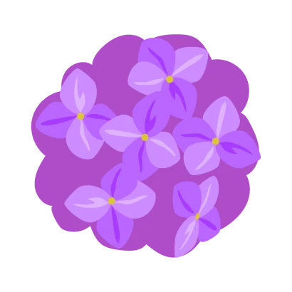 紫アジサイのイラスト