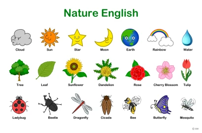自然や花の子供用英語教材のイラスト