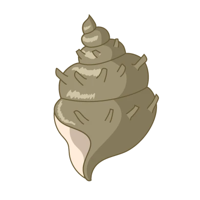 サザエの貝殻のイラスト