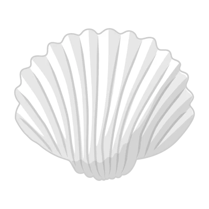 白い貝殻のイラスト
