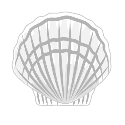 白色のホタテ貝殻のイラスト