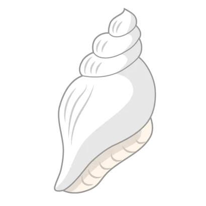 白巻貝の貝殻のイラスト